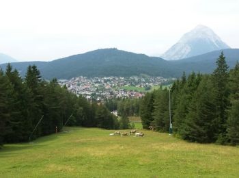 Tour Wandern Gemeinde Seefeld in Tirol - Reitherjoch Alm - Photo