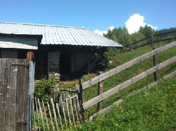 Randonnée Marche La Plagne-Tarentaise - Les Coches par la Pierra  - Photo