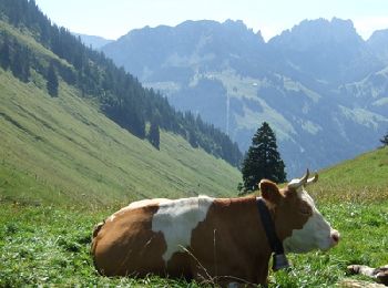 Randonnée Marche Bellegarde - Jaun - Euschelspass - Riggisalp (Lac Noir) - Photo