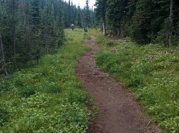 Tocht Stappen Area B (Shelter Bay/Mica Creek) - Meadows Of the Sky Trailo - Photo
