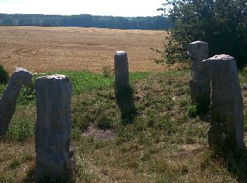 Randonnée Marche Boiry-Notre-Dame - Paille haute Les Bonnettes  - Photo