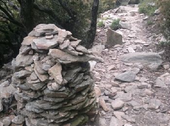 Tour Wandern Saint-Martin-de-l'Arçon - rando Caroux - Photo