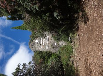 Trail Walking Saint-Jean-de-la-Blaquière - Rochers des 2 Vierges - Photo