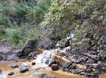 Tocht Stappen La Plagne-Tarentaise - Montchavin Sentier nature - Photo