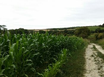 Tocht Stappen Boursin - Sentier du Funquet  - Photo