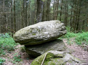 Tocht Stappen Combronde - La pierre branlante par Les Jouffrets. - Photo