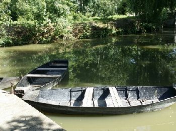 Excursión Senderismo Bouillé-Courdault - Marais - Photo