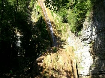 Tocht Stappen Cerdon - cascade de la fouge - Photo