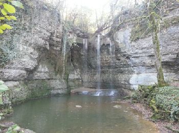 Trail Walking Optevoz - rando cascade de la roche - Photo