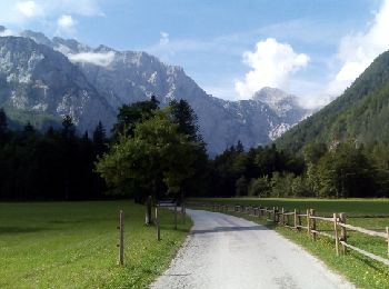 Tocht Stappen Solčava - Slovenië einde, pension ojstria - Photo