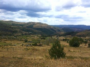 Tocht Stappen Mont Lozère et Goulet - Sud du Mont Lozère - Photo