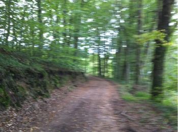 Trail Walking Mérinchal - par monts et par vergnes - Photo