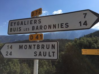 Percorso Bicicletta Buis-les-Baronnies - Col de Fontaube - Photo