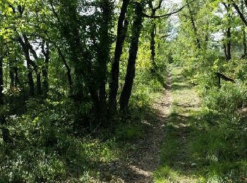 Trail Walking Saint-Géry-Vers - QUERCY Vers) - Photo