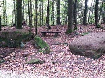 Trail Walking Meisenthal - maizenthal - soucht et environs - Photo