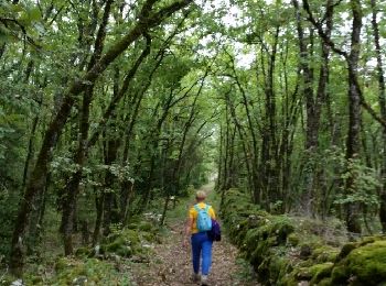 Tocht Stappen Saint-Géry-Vers - QUERCY (St-Géry) - Photo