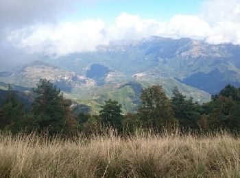 Randonnée Marche Bajardo - Monte Ceppo et Crocs Di Presto - Photo
