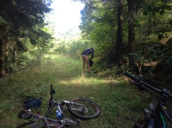 Excursión Bici de montaña Burg-Reuland - 20150920 Ouren Ettelbrück - Photo