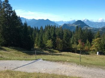 Trail Walking La Roche - La Holena (La Roche) - sommet de la Berra 21.09.15 - Photo