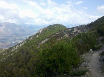 Trail Walking Cuttoli-Corticchiato - Corse-150926 - MonteAragnascu - Photo