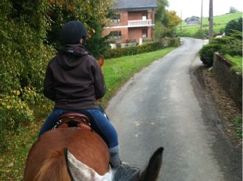 Tocht Paard Walcourt - 2010-10-28 - 15h18m53 - Photo