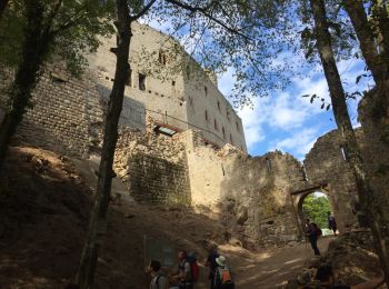 Randonnée Autre activité Andlau - Chateaux d'Andlau et Spesbourg - Photo