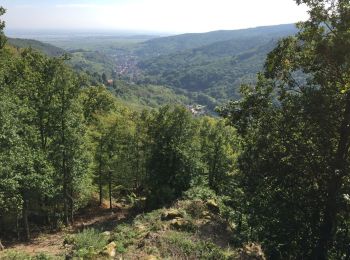 Tocht Andere activiteiten Andlau - Chateaux d'Andlau et Spesbourg - Photo