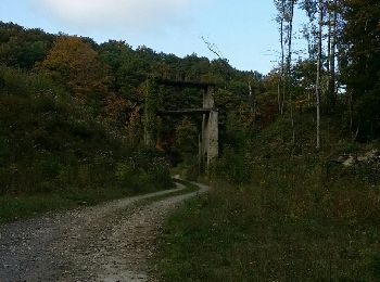 Tour Wandern Bettendorf - bettendorf - Photo