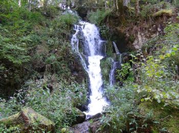 Trail Walking Sapois - De Sapois à Vagney par la cascade du saut du Bouchot - Photo