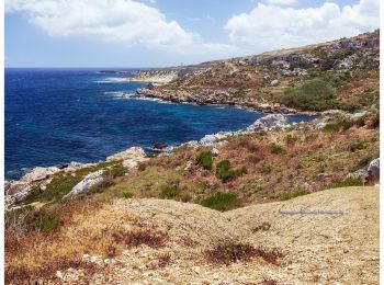 Tour Wandern Il-Mellieħa - Boucle d'Mgiebah Bay par Selmun Palace - Photo