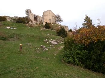 Tocht Stappen La Palud-sur-Verdon - Vieux village ruiné de Chateauneuf les Moustier. (25-10-15) - Photo