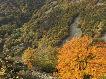 Tour Wandern Vallées-d'Antraigues-Asperjoc - Antraigues suc de la Cuche le Mas - Photo