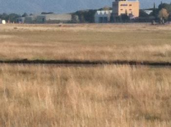 Tocht Stappen Vidauban - Parcour ornithologue pour voir les Outarde canepetiere départ de vadauban - Photo