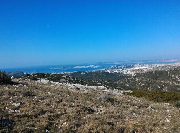 Tocht Rolschaatsen Marseille - mont puget - Photo