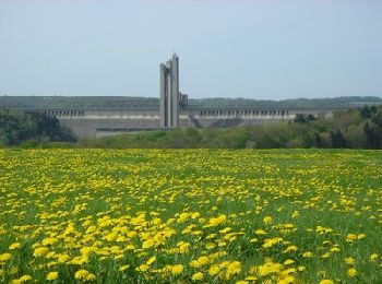 Tour Wandern Cerfontaine - La balade du Ballonnet - Photo