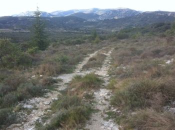 Trail Walking Conqueyrac - La Coste-Aguzan (Gard) - Photo