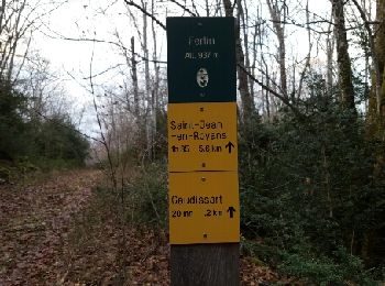 Trail Walking Saint-Jean-en-Royans - col de l'echarasson - Photo