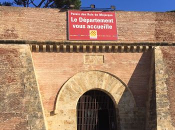 Randonnée Marche Perpignan - 66 PERPIGNAN, quartier des aviateurs, tour des remparts du palais des rois de Majorque.  - Photo
