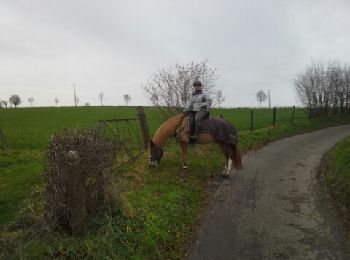 Tour Pferd Thimister-Clermont - val dieu froidthier aubel  - Photo