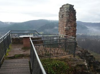 Trail Walking Baerenthal - Baerenthal - Ruines du Ramstein - Photo