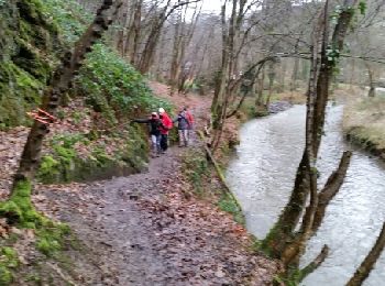 Trail Walking Yvoir - PURNODE (Dessous-Ham) - Photo