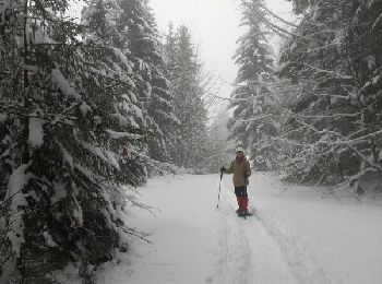 Randonnée Raquettes à neige Entremont-le-Vieux - Charteuse-Boucle du Grand Carroz - Photo