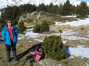 Excursión Raquetas de nieve Font-Romeu-Odeillo-Via - Autour du refuge de la calme - Photo
