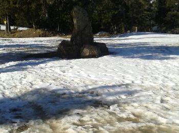Randonnée Raquettes à neige Railleu - Coll de creu Coll de Sansa  pla de grill - Photo