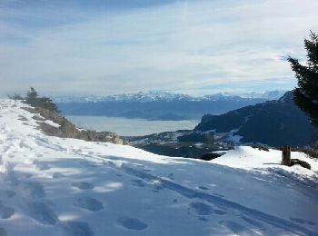 Tour Schneeschuhwandern Lans-en-Vercors - Charande, La Molière par les Aigaux - Photo