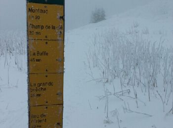 Trail Snowshoes Autrans-Méaudre en Vercors - Le pas de la clé depuis Gève - Photo