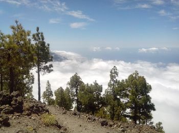 Tour Wandern El Paso - La Palma-Pico Bejenado-PR13 - Photo