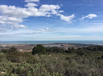 Randonnée Marche Gigean - circuit La Gardiole - Photo