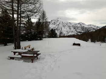 Randonnée Raquettes à neige Montgenèvre - Le vallon des baisses - Photo
