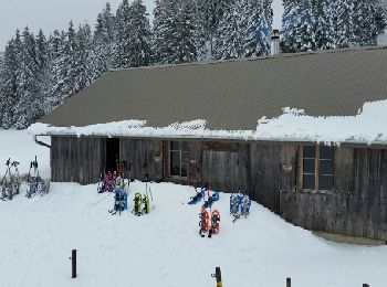 Randonnée Raquettes à neige Les Rousses - La Bourbe_Mont Sala 12.3km - Photo